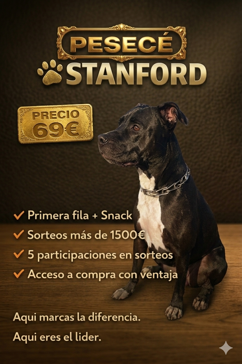 Entrada Stanford