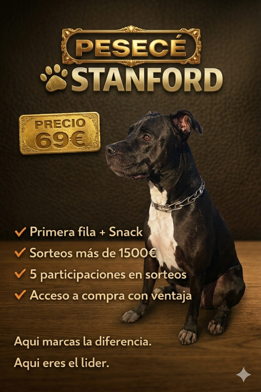 Entrada Stanford