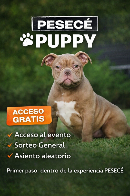 Entrada Puppy