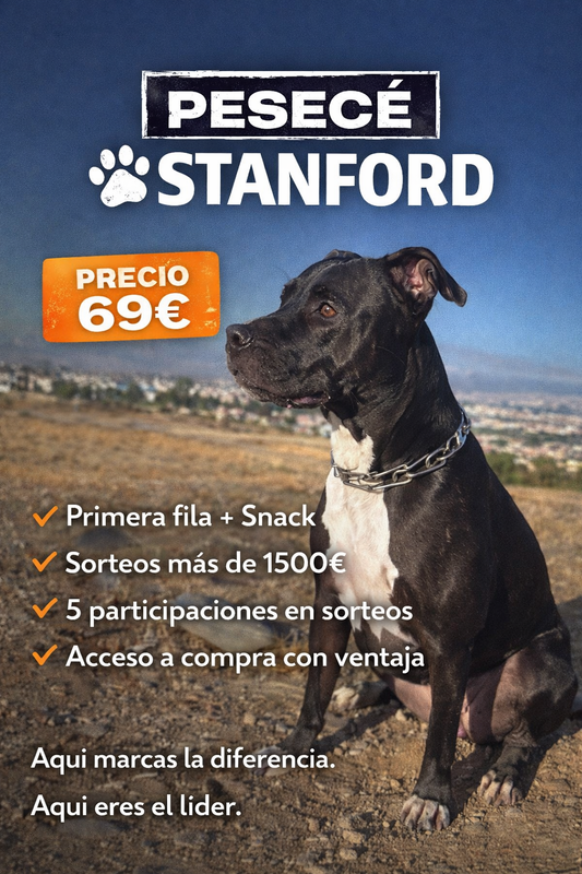 Entrada Stanford